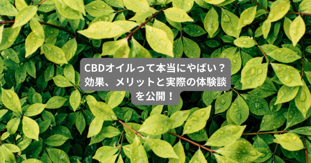 CBDオイルって本当にやばい？効果、メリットと実際の体験談を公開！