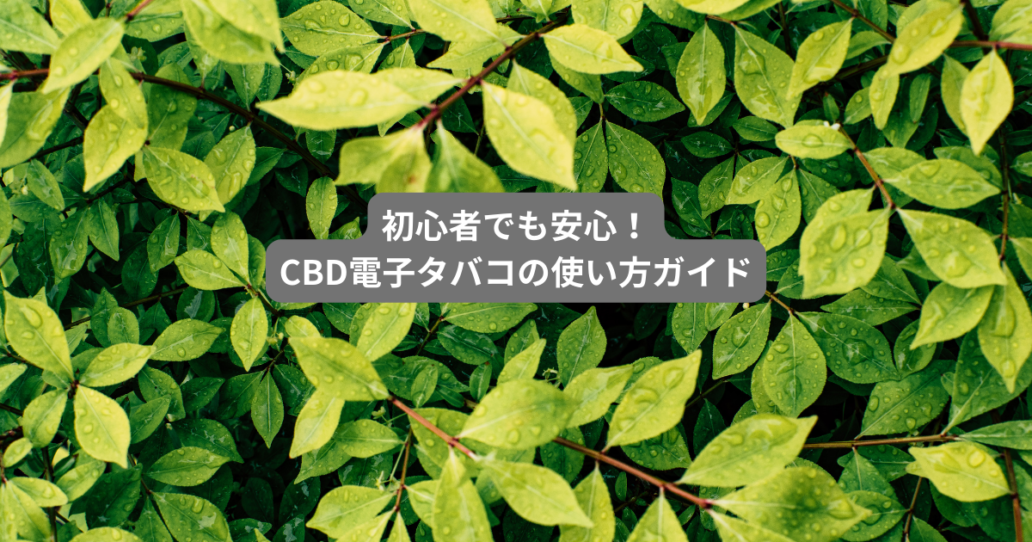 初心者でも安心！CBD電子タバコの使い方ガイド