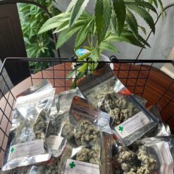 バッズチョコ(CBD＋CBG)エディブル