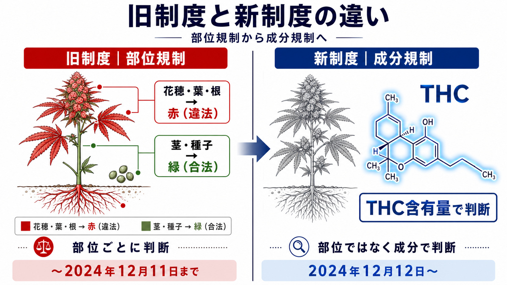 部位規制と成分規制の違い｜大麻草の規制方式の比較図